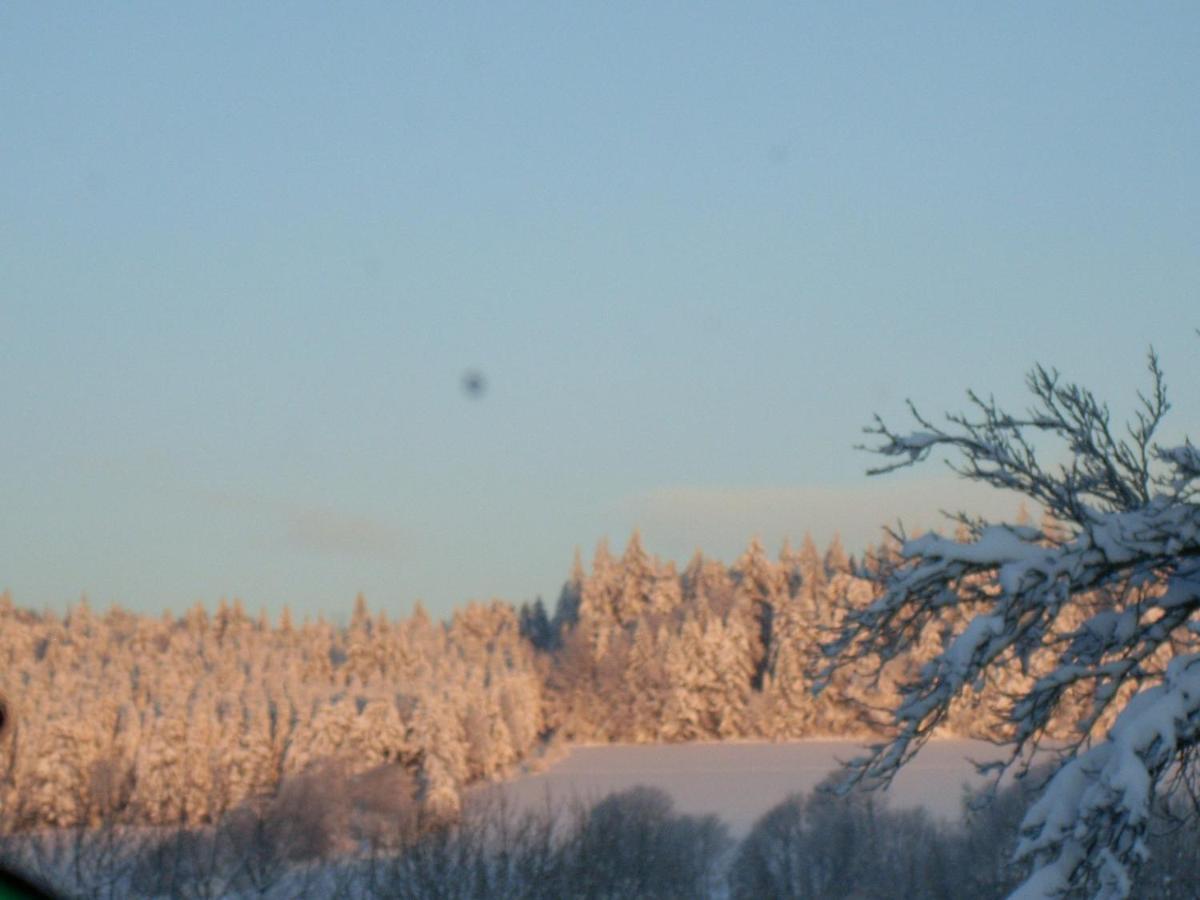 Location Vacances Des 4 Vents Girmont-Val-dʼAjol Zewnętrze zdjęcie